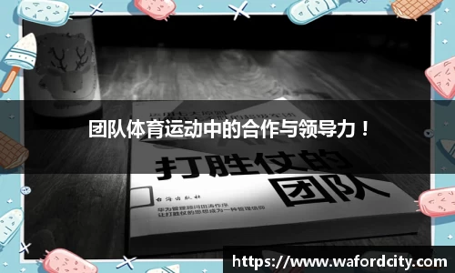 世界杯直播免费平台